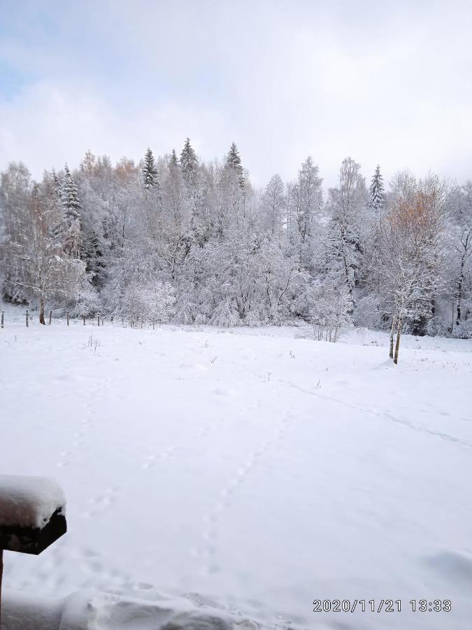 Cabana Belis Dealu Negru Екстер'єр фото